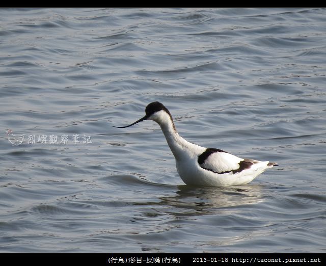 反嘴_09
