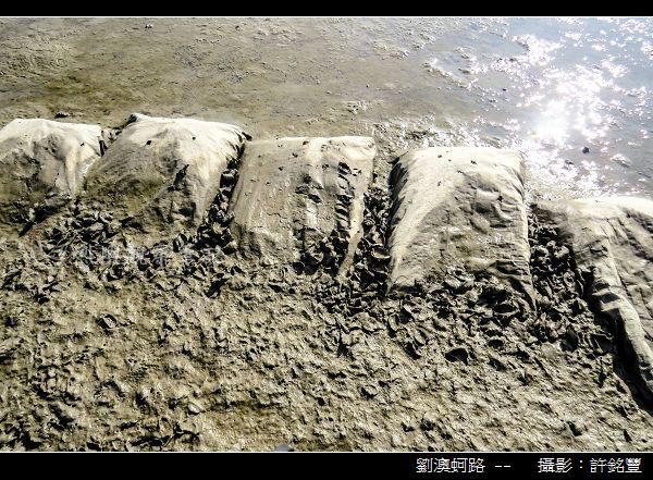 劉澳蚵路_02.jpg