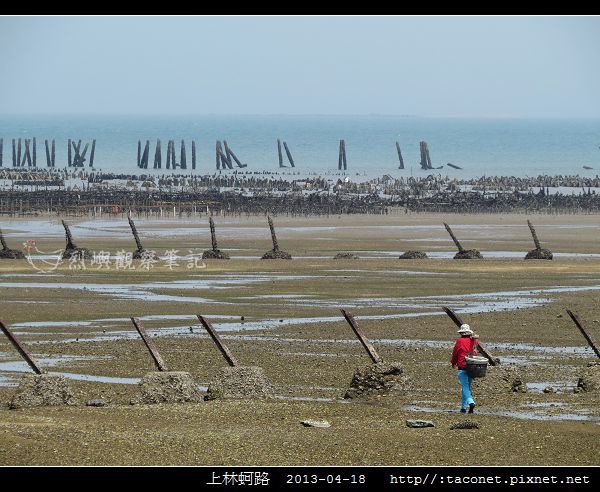 上林蚵路_11.jpg