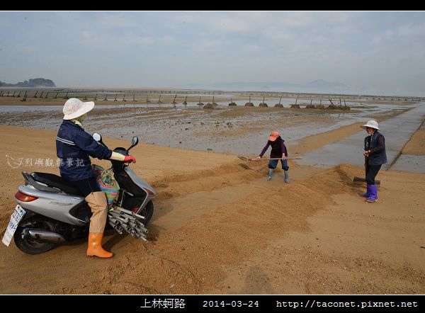 201403上林蚵路_03.jpg