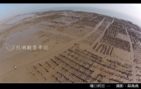 嚨口蚵田_11.jpg