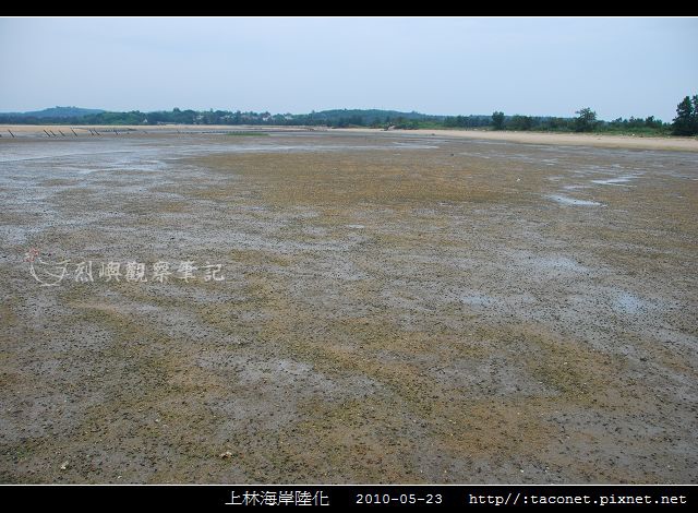 上林海岸陸化_04.jpg