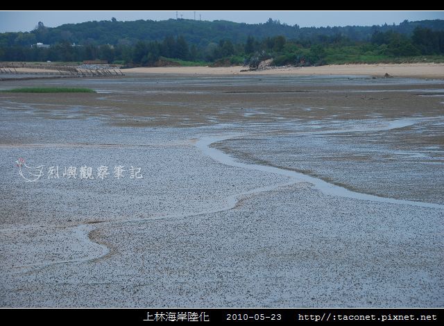 上林海岸陸化_03.jpg