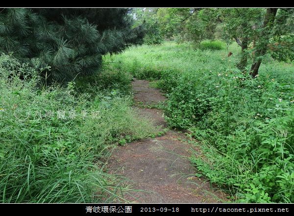 青岐環保公園_13.jpg