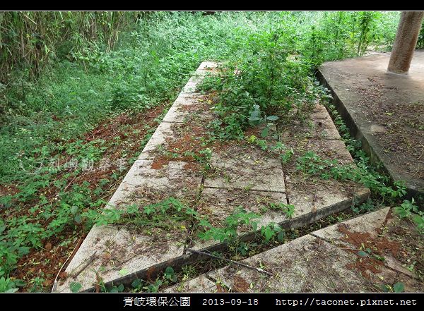 青岐環保公園_12.jpg