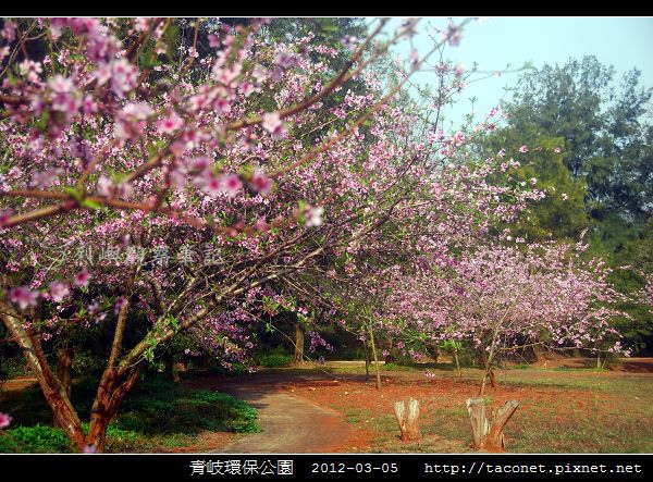 青岐環保公園_03.jpg