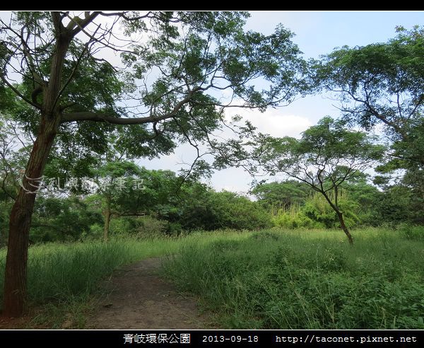 青岐環保公園_08.jpg