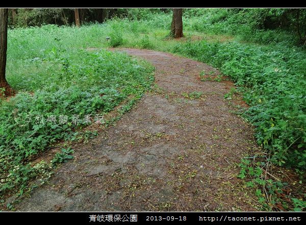 青岐環保公園_11.jpg