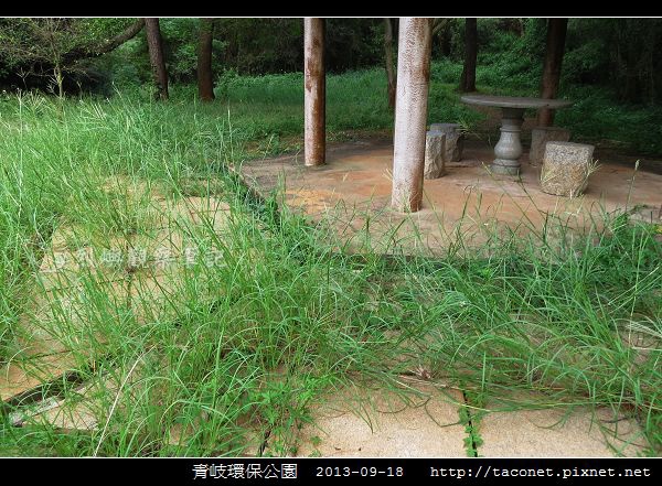 青岐環保公園_10.jpg