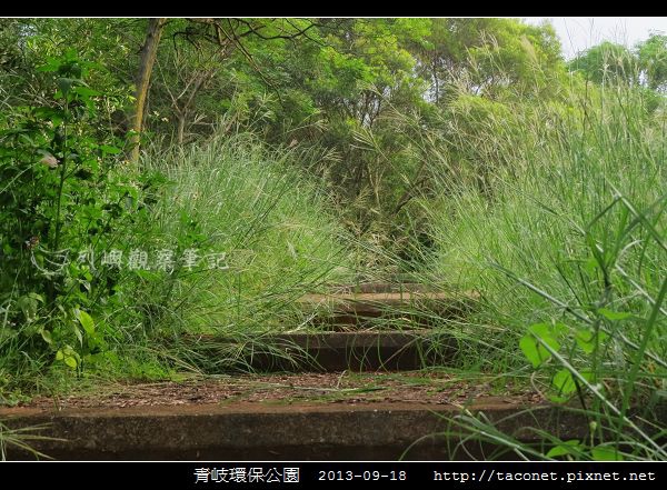 青岐環保公園_07.jpg