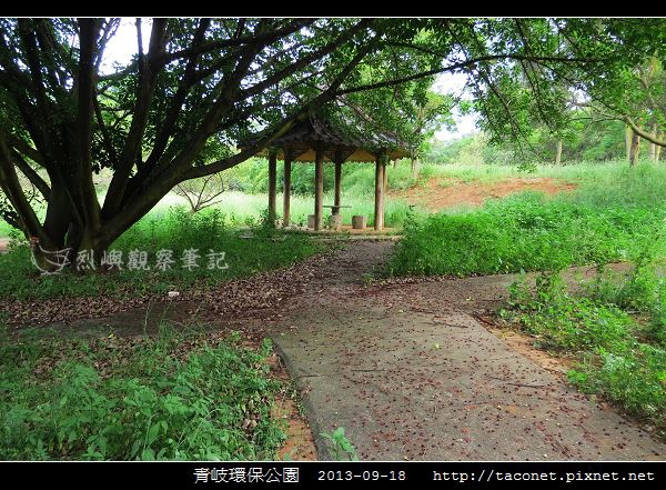 青岐環保公園_05.jpg