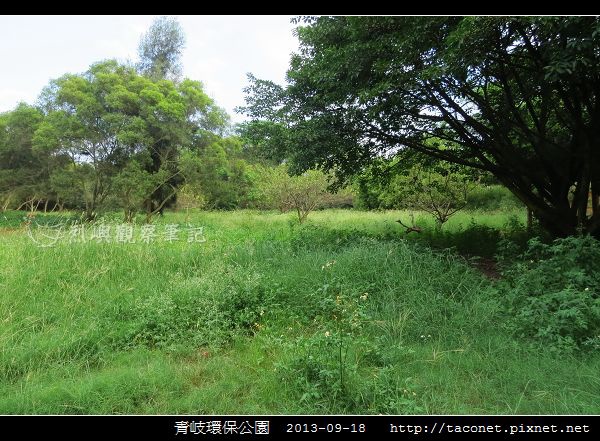 青岐環保公園_04.jpg