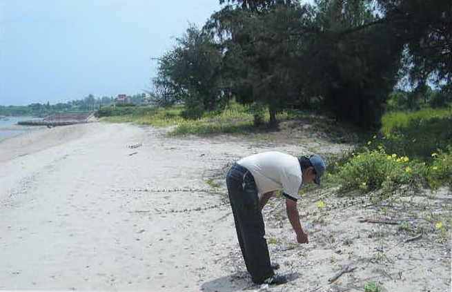 金門的史前考古遺址與文化_2.jpg