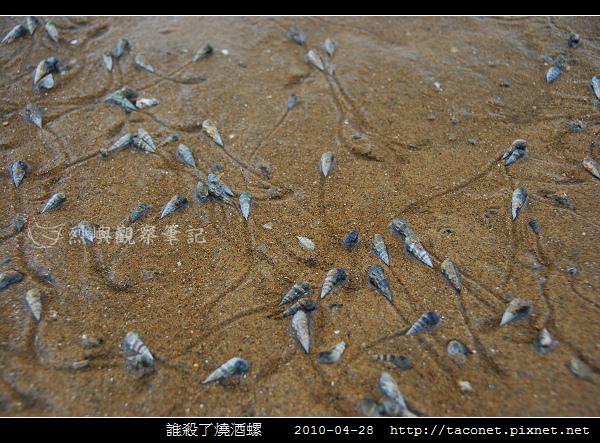 誰殺了燒酒螺 _09.jpg