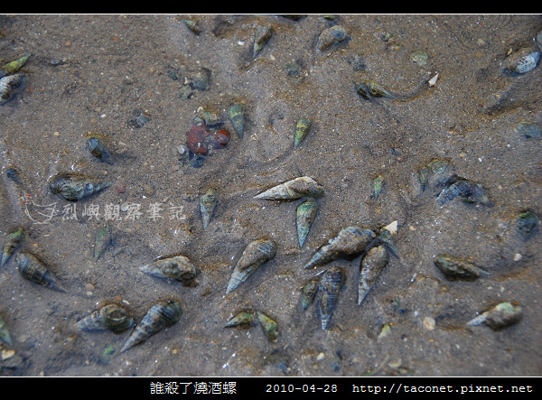 誰殺了燒酒螺 _06.jpg
