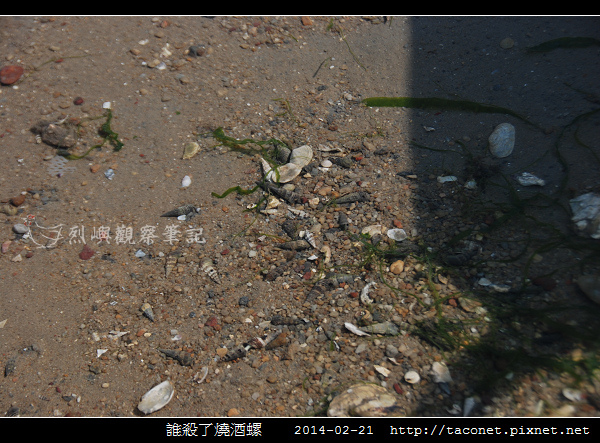 誰殺了燒酒螺 _04.jpg