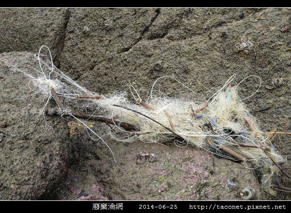 廢棄漁網_24.jpg