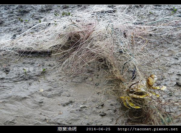 廢棄漁網_23.jpg