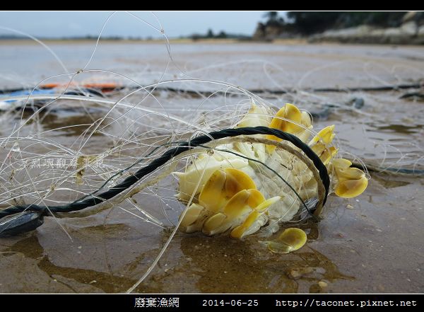 廢棄漁網_14.jpg