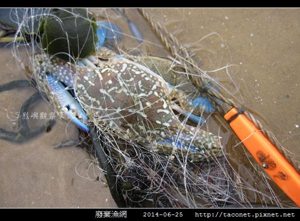 廢棄漁網_11.jpg