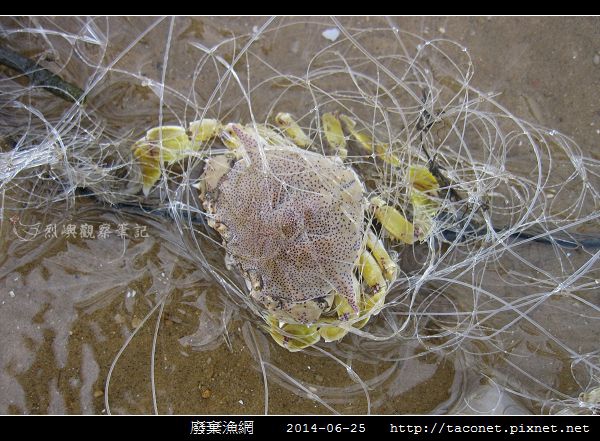 廢棄漁網_10.jpg