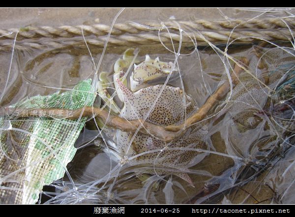 廢棄漁網_08.jpg