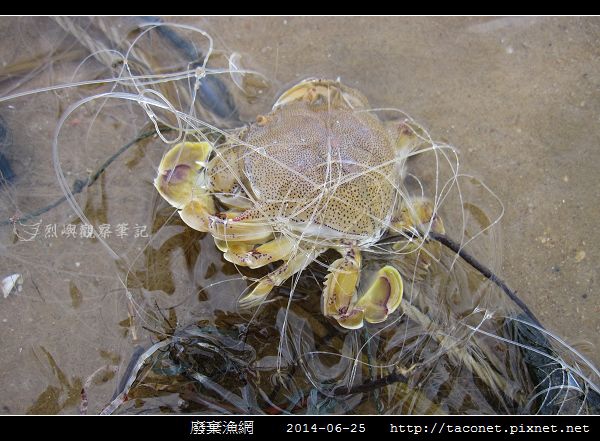廢棄漁網_06.jpg