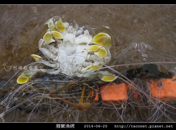 廢棄漁網_05.jpg