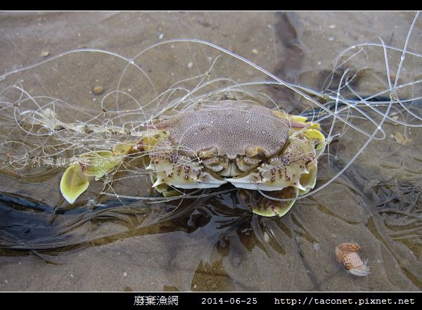 廢棄漁網_04.jpg