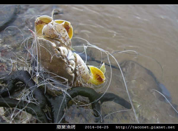廢棄漁網_02.jpg