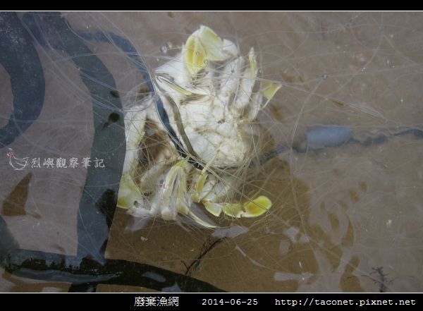 廢棄漁網_03.jpg
