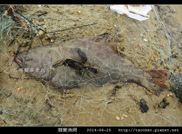廢棄漁網_20.jpg