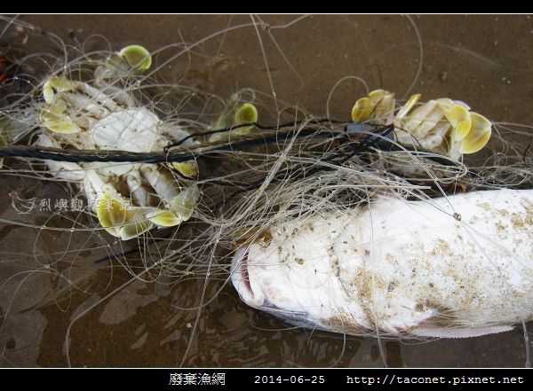 廢棄漁網_09.jpg