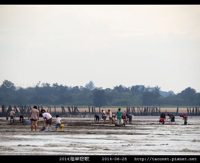2014海岸悲歌_20.jpg