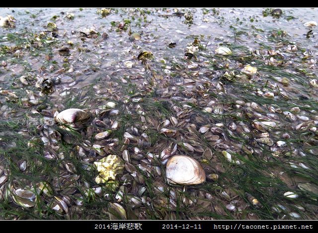 2014海岸悲歌_19.jpg