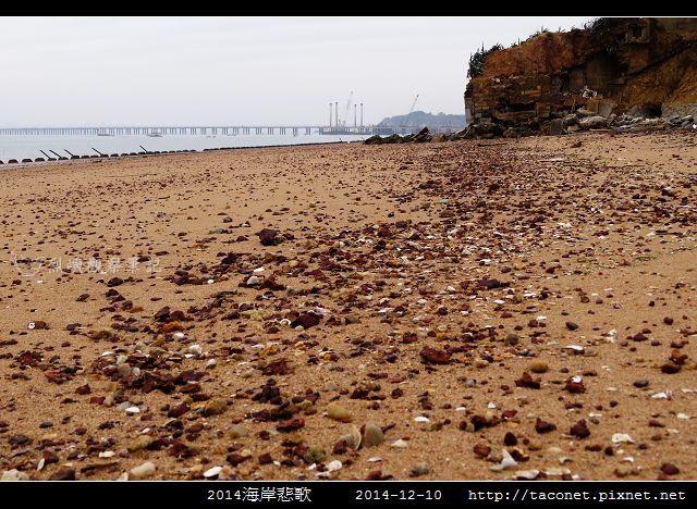 2014海岸悲歌_14.jpg