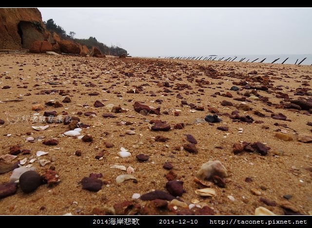2014海岸悲歌_13.jpg