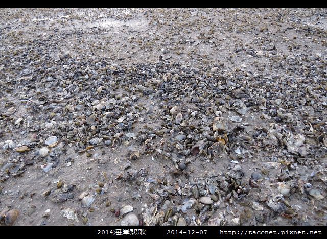 2014海岸悲歌_09.jpg