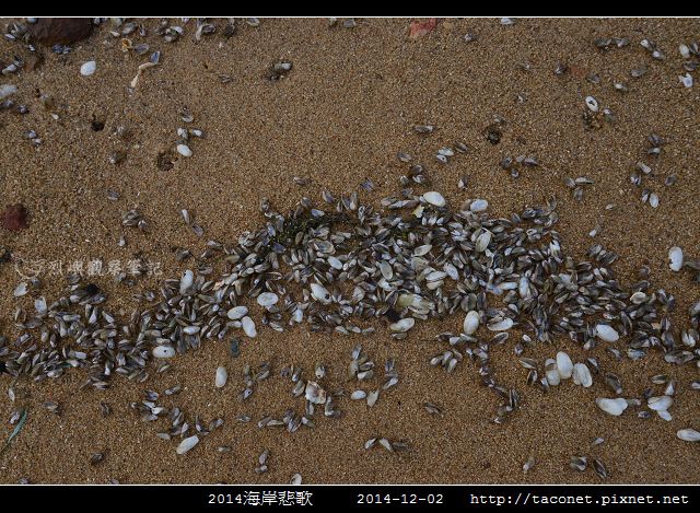 2014海岸悲歌_06.jpg