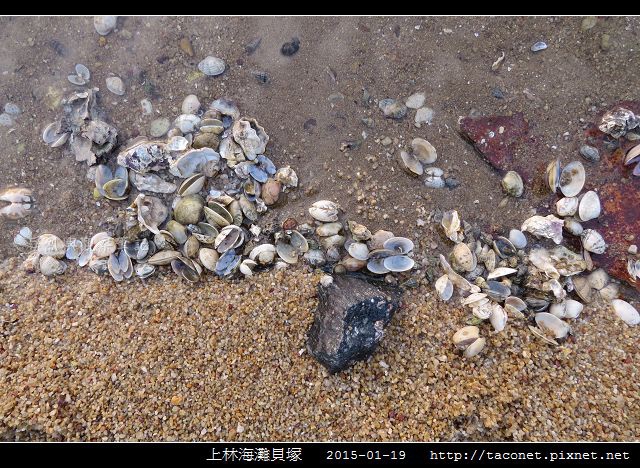 上林海灘貝塚_04.jpg