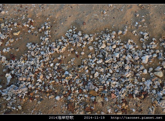 2014海岸悲歌_02.jpg
