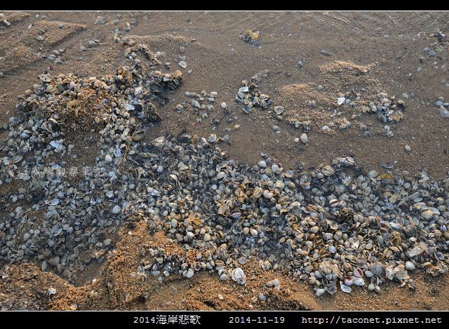 2014海岸悲歌_03.jpg