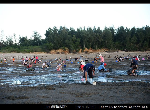 2014海岸悲歌_01.jpg