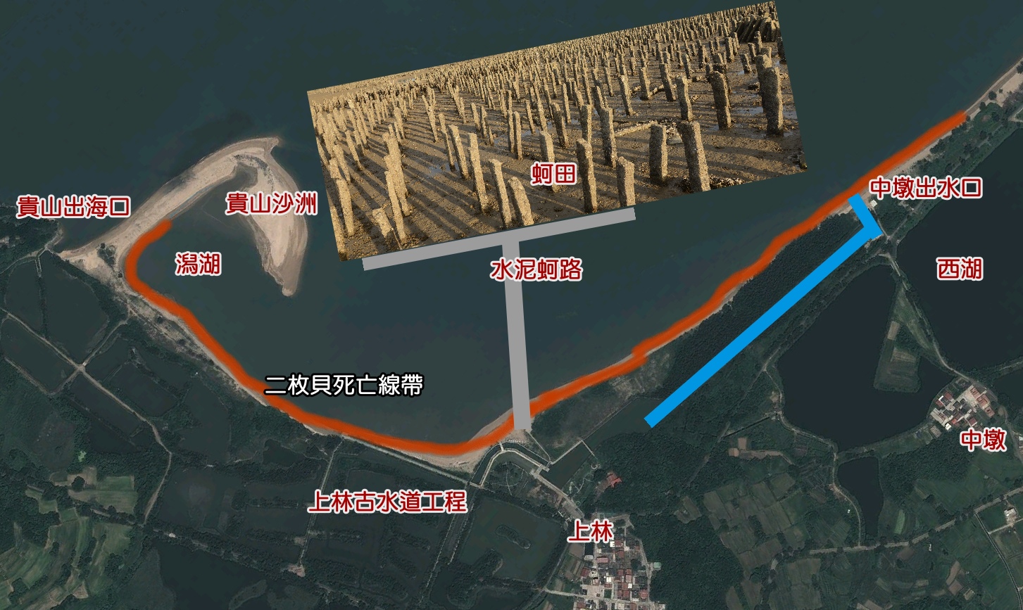上林潮間帶.jpg