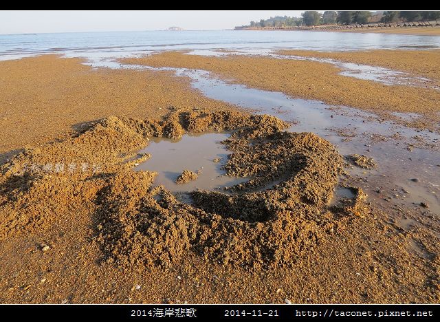 2014海岸悲歌_28.jpg