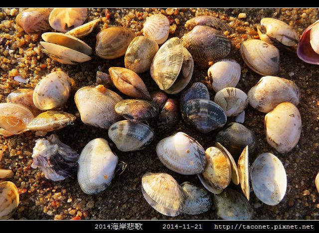 2014海岸悲歌_26.jpg