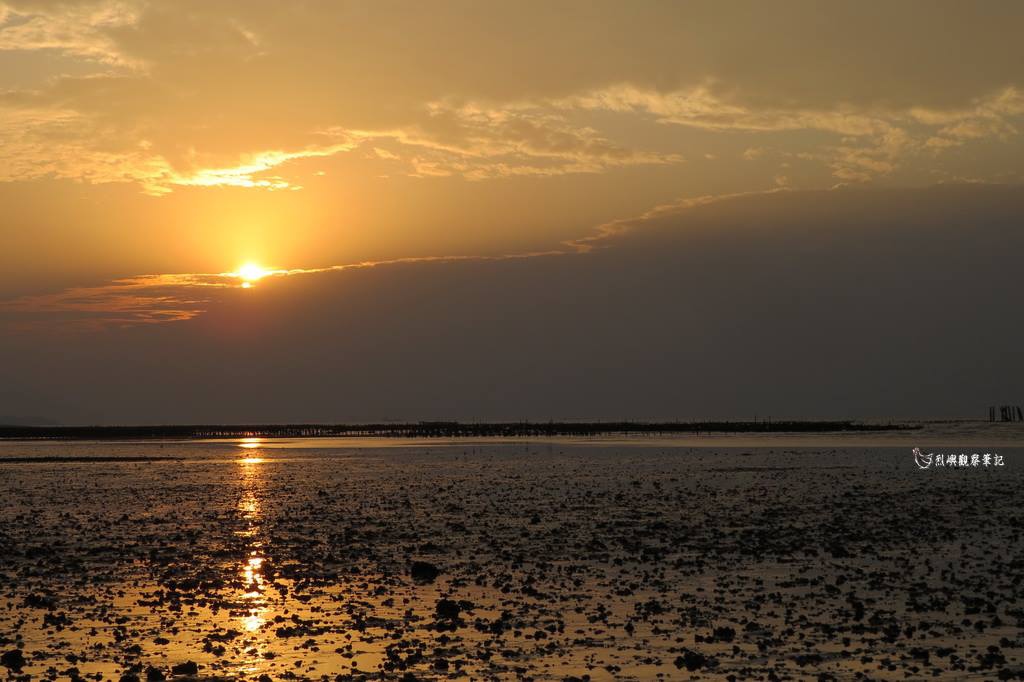 88.jpg