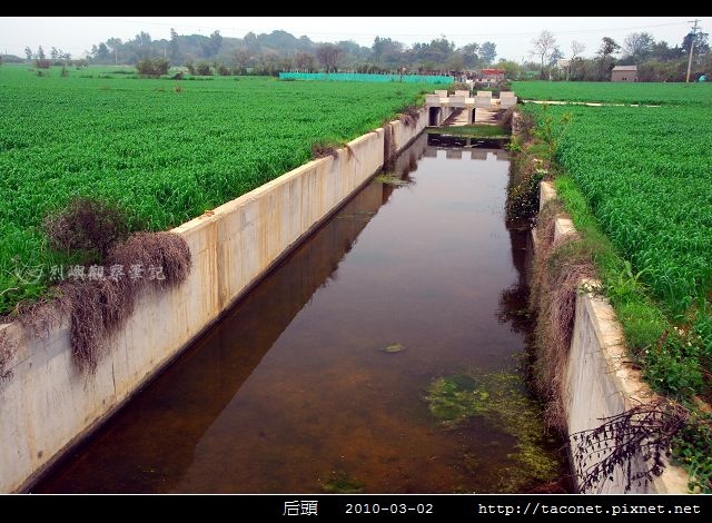 后頭_01.jpg