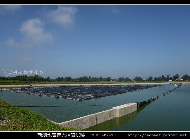 西湖水庫遮光控藻試驗_10.jpg