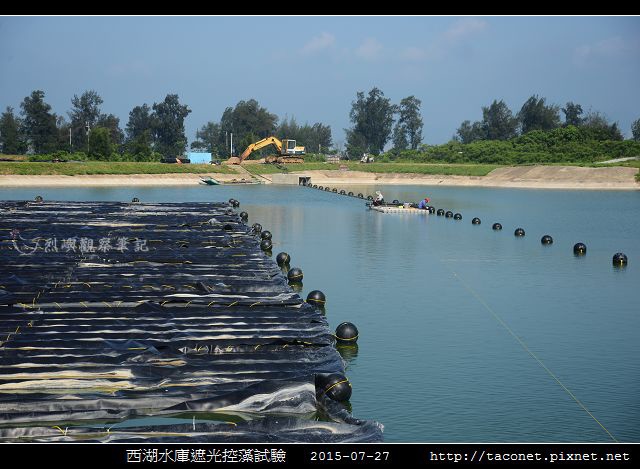 西湖水庫遮光控藻試驗_09.jpg